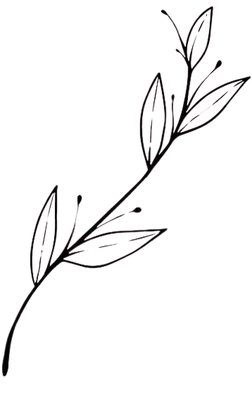 Ilustración floral decorativa